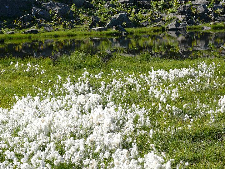 Bergwanderung auf den Hohen Freschen